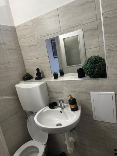 a bathroom with a toilet and a sink and a mirror at Magic Apartments 2 in Miercurea-Ciuc