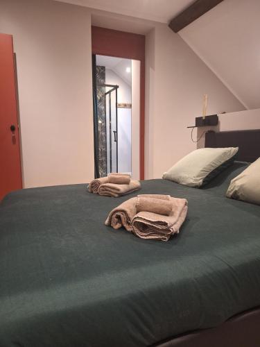 a bedroom with a bed with two towels on it at Le Loft du Centre Ville in Aix-les-Bains