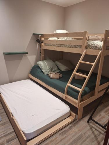 a room with two bunk beds with a ladder at Le Loft du Centre Ville in Aix-les-Bains