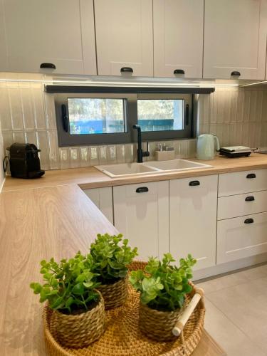 a kitchen with two potted plants on a counter at YANNIS RETREAT in Lefkada Town