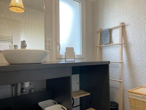 une salle de bain avec un lavabo et un miroir dans l'établissement Appartement lumineux 5 personnes, à La Teste-de-Buch