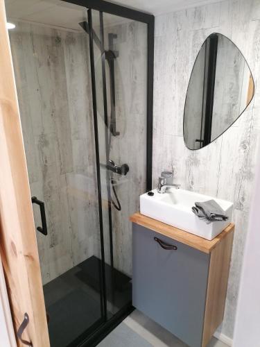une salle de bain avec une douche, un lavabo et un miroir dans l'établissement Camping le Tréjeux - Petit Chalet, à Thônes