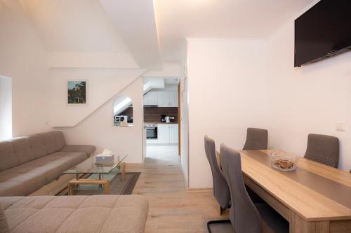 Μια τηλεόραση ή/και κέντρο ψυχαγωγίας στο Grom Ribno Apartments