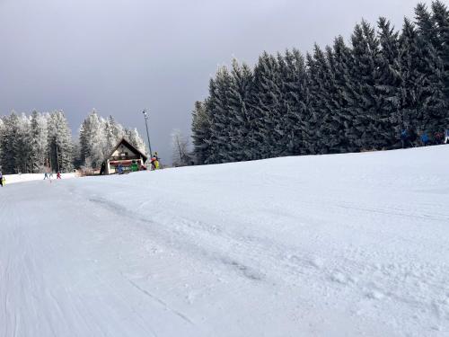 a snow covered road with a cabin in the background at Seegasthof Breineder - Familien & Seminarhotel in Mönichwald