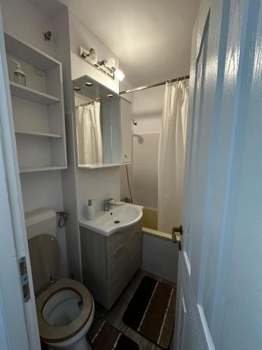a small bathroom with a toilet and a sink at Magic Apartmens in Miercurea-Ciuc