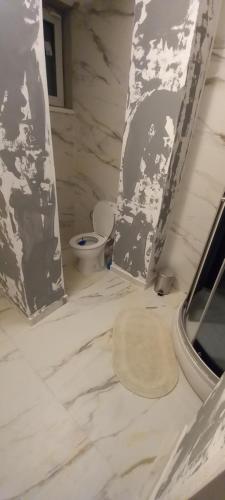 a bathroom with a sink and a toilet at Twins Residence 2 APART HOTEL AP 5 2 rooms in Chiajna