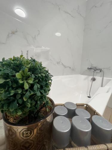 a basket with a potted plant sitting next to a bath tub at Casa Mignon in Oradea