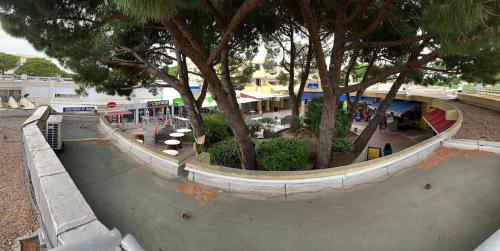 un skatepark avec une rampe et quelques arbres dans l'établissement Studio les pieds dans l'eau, au Grau-du-Roi