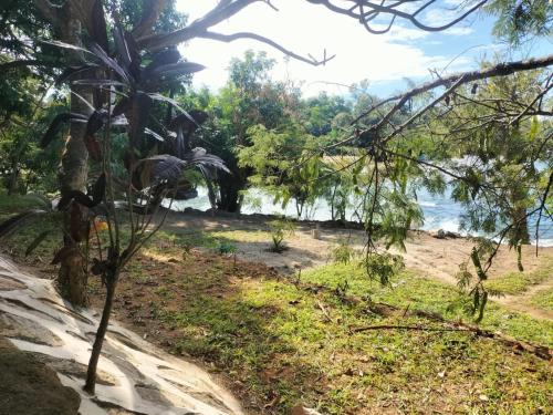 a sandy beach next to a body of water at Soul Rebel Lodge & Backpackers in Nkhata Bay