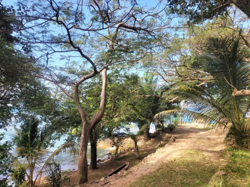 a path through the trees next to the river at Soul Rebel Lodge & Backpackers in Nkhata Bay