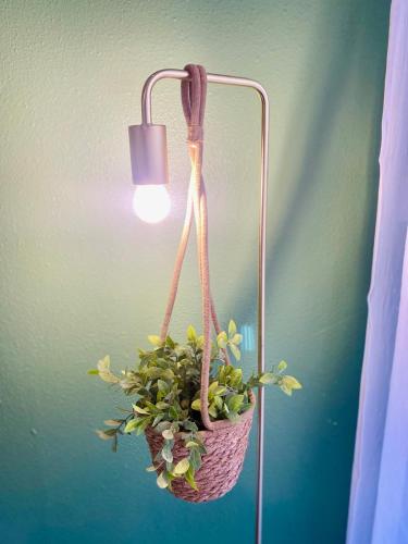 un panier suspendu avec une lumière sur un mur dans l'établissement ''Axel 2'' Studio 2 à Sète, proche gare, à Sète
