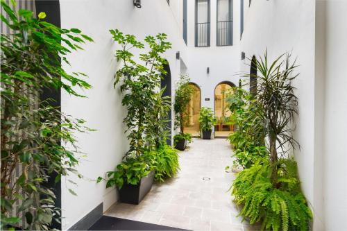 a hallway with plants on the side of a building at Posada de los Venerables in Seville