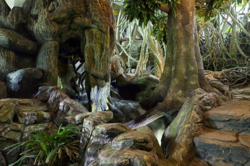 a tree and a waterfall in a garden at Chandys Windy Woods Munnar in Munnar