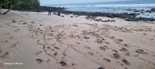 a person walking on a beach with footprints in the sand at Puri Ma'u Beach & Bungalows in Boba
