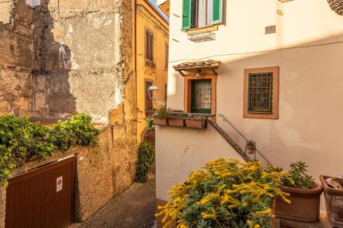 an alley in an old building with plants and flowers at Accogliente Casa Antica, nelle vicinanze di Roma in Frascati