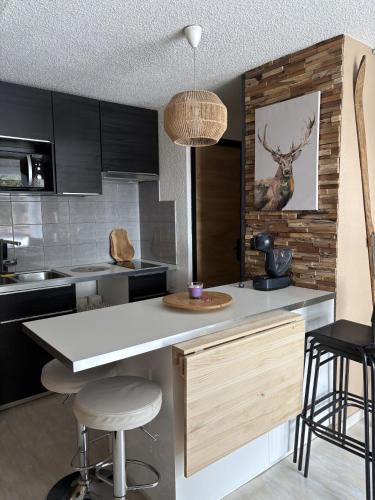 Appartements au cœur de la station de ski \