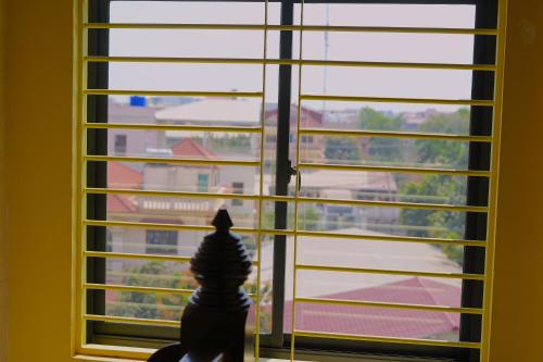 a dog sitting in a window looking out at Hello Cambodia Boutique in Siem Reap