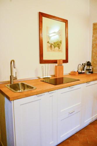 a kitchen counter with a sink and a picture on the wall at Origine Country Farm in Tabiano