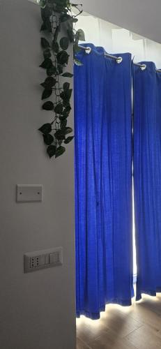 a pair of blue curtains in a room with a plant at Dimora Margherita in Conversano