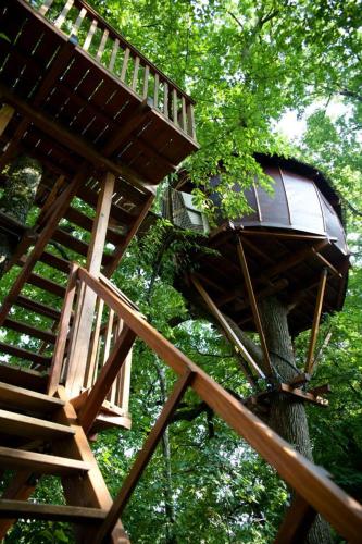une cabane dans les arbres avec un escalier dans un arbre dans l'établissement Cabane Maya - Ile aux Cabanes, à Sainte-Colombe