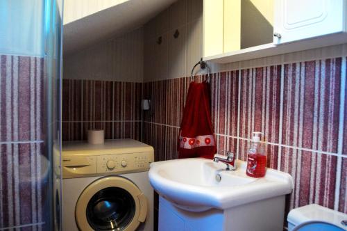een badkamer met een wasmachine en een wastafel bij Apartments Bućin in Kotor
