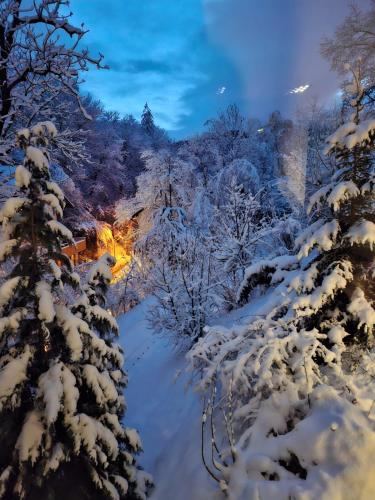 een winterscène met met sneeuw bedekte bomen en lichtjes bij GreenHill Brasov in Braşov