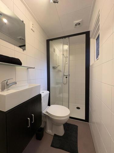 a bathroom with a toilet and a sink and a shower at HEERLIJK CHALET MIDDENIN DE NATUUR! in Putten