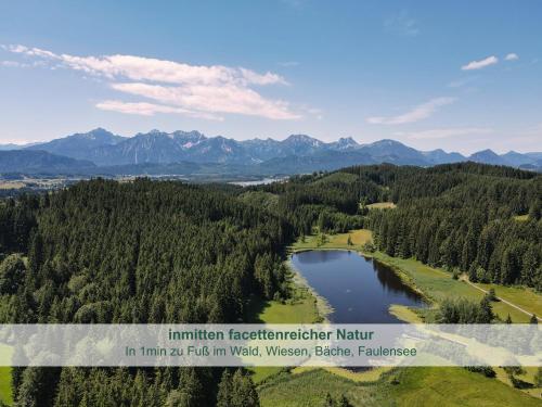 a view of a lake with mountains in the background at Stöger Chalets - Adults Only mit einzigartigem Panoramablick auf See, Alpen und Schloss Neuschwanstein - nur 2 Einheiten in Rieden