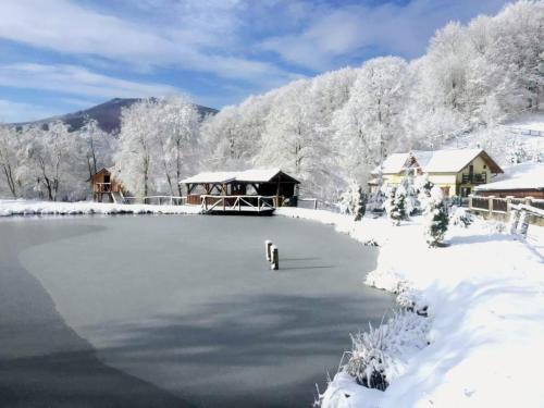 a lake covered in snow next to a cabin at Pensiunea Cerbul - Valea Dobârlăului in Valea Dobîrlăului