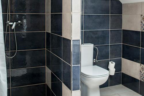 a bathroom with a toilet and a shower at Penzion U Červené podkovy in Vlčkov