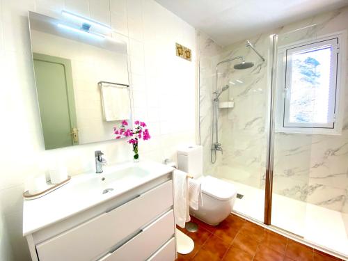 Un baño con lavabo, inodoro y ducha. en Charming And Cozy House in Agaete, en San Pedro