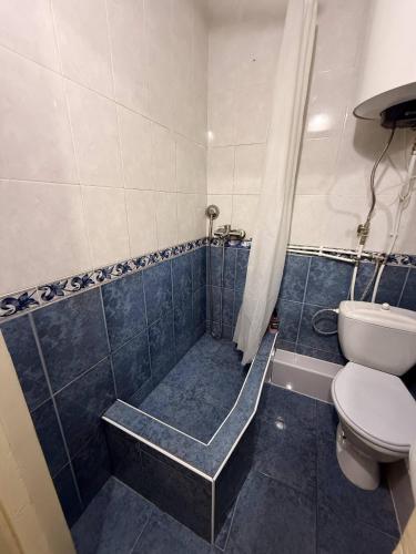 a bathroom with a toilet and a shower and a toilet at One Room Apartment in Chişinău