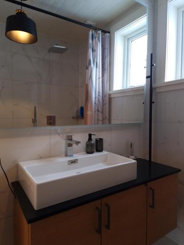 a bathroom with a white sink and a mirror at Timmerstugan in Gällivare
