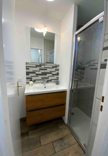 une salle de bain avec un lavabo et une douche dans l'établissement Cottage entier 4 ou 6 personnes gîte 19, à Signy-le-Petit