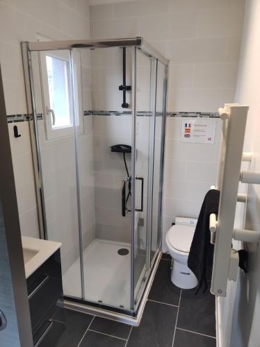 une salle de bain avec douche et toilettes dans l'établissement Dépendance cosy, à Longages