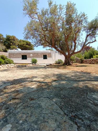 Gallery image of Scogliera del Gabbiano in Leuca