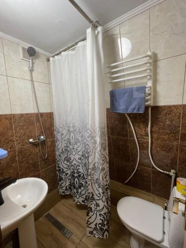 a bathroom with a shower and a toilet and a sink at Khatky Na Penkakh in Vorokhta