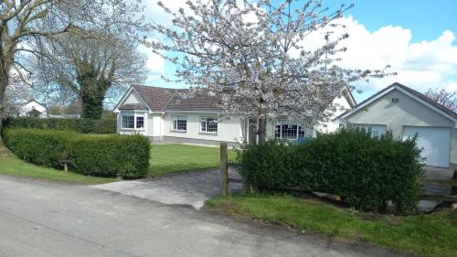 a white house with a tree in front of it at Home in the beautiful Meath countryside in Dunshaughlin
