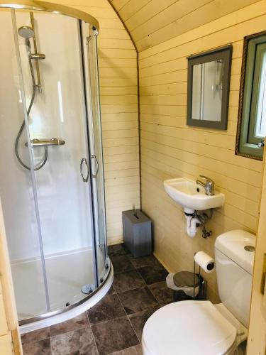 a bathroom with a shower and a toilet and a sink at Barnharrow Holiday Pods in Newton Stewart