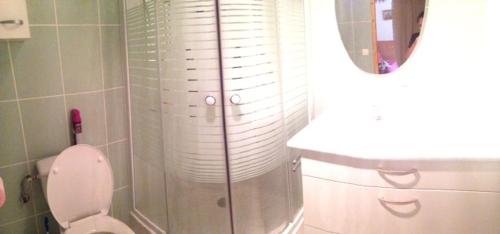 une salle de bain avec douche, toilettes et miroir dans l'établissement Appartement dans les aravis, proche du Grand Bornand et de la Clusaz, à Entremont