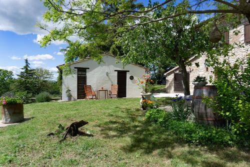 a dog sitting in the yard of a house at Casa Zampani in Massa Martana