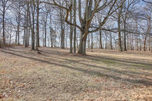 a group of trees in a field with their shadows at 8 Mi to Kentucky Downs Quiet Getaway with Patio in Portland