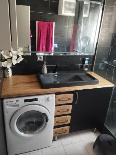une cuisine avec une machine à laver et un évier dans l'établissement Charmante Villa, à Lunel
