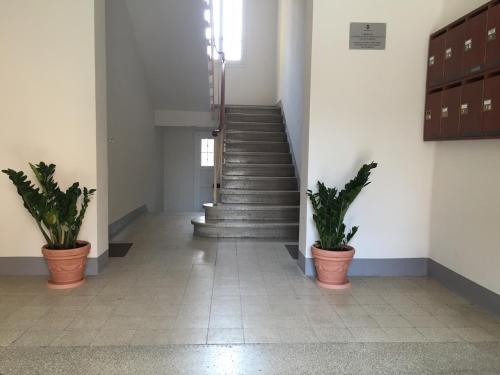 Bologna Suite photo 30