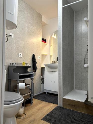 une salle de bain avec toilettes et lavabo dans l'établissement Cozy atmosphere 4pers near Eurexpo GroupamaStadium, à Saint-Priest