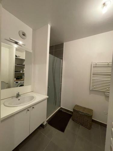 une salle de bain avec un lavabo et une douche dans l'établissement Apartment in Montpellier, à Montpellier