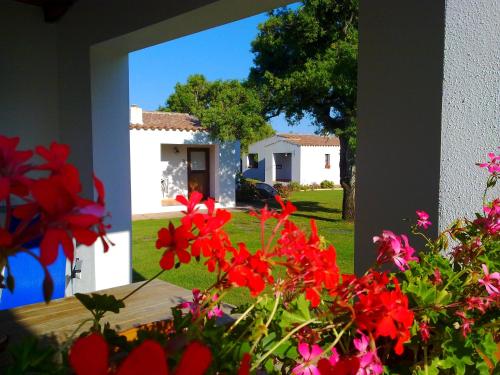 Zahrada ubytování Agriturismo Li Scopi