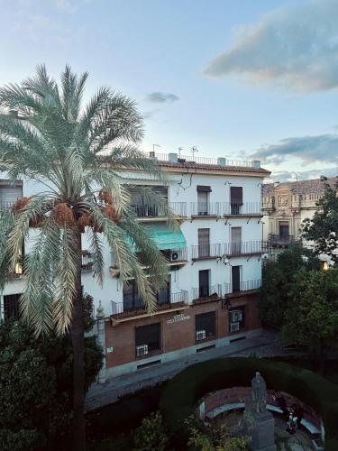 Apartamento San Luis