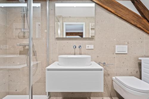 a bathroom with a sink and a toilet at Modern Apartments in Clausen with WiFi, Kitchen & Workspace in Luxembourg