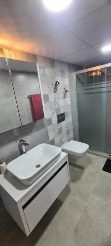 a bathroom with a white sink and a toilet at Ebruli Cennet Bahçesi in Nevsehir